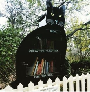 catlittlefreelibrary