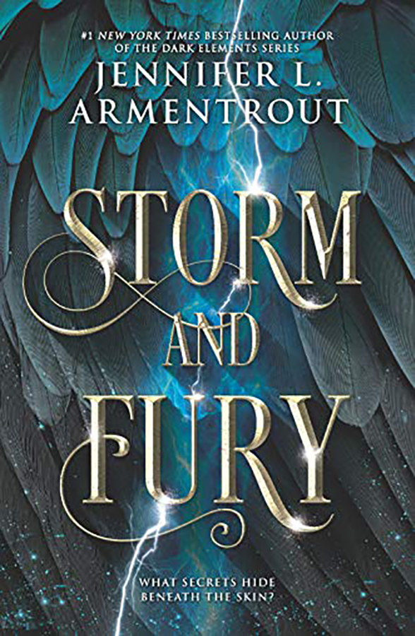 Storm and Fury - Around Books by Vanessa