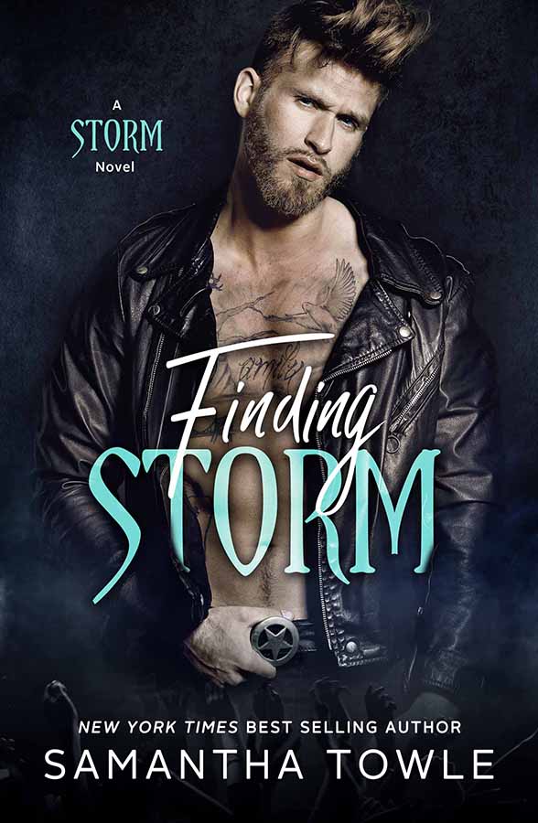 FindingStorm-samantha towle-aroun d books by vanessa