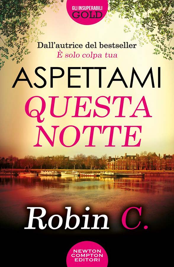 aspettami-questa-notte-robin c-around books by vanessa